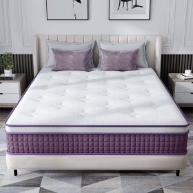 Spring-loaded Hybrid Mattresses 03 Paragraphs (Option: 10inch-Full)